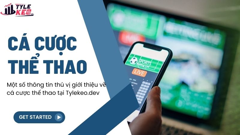 Một số thông tin thú vị giới thiệu về cá cược thể thao tại andamiosytorresz.com.mx